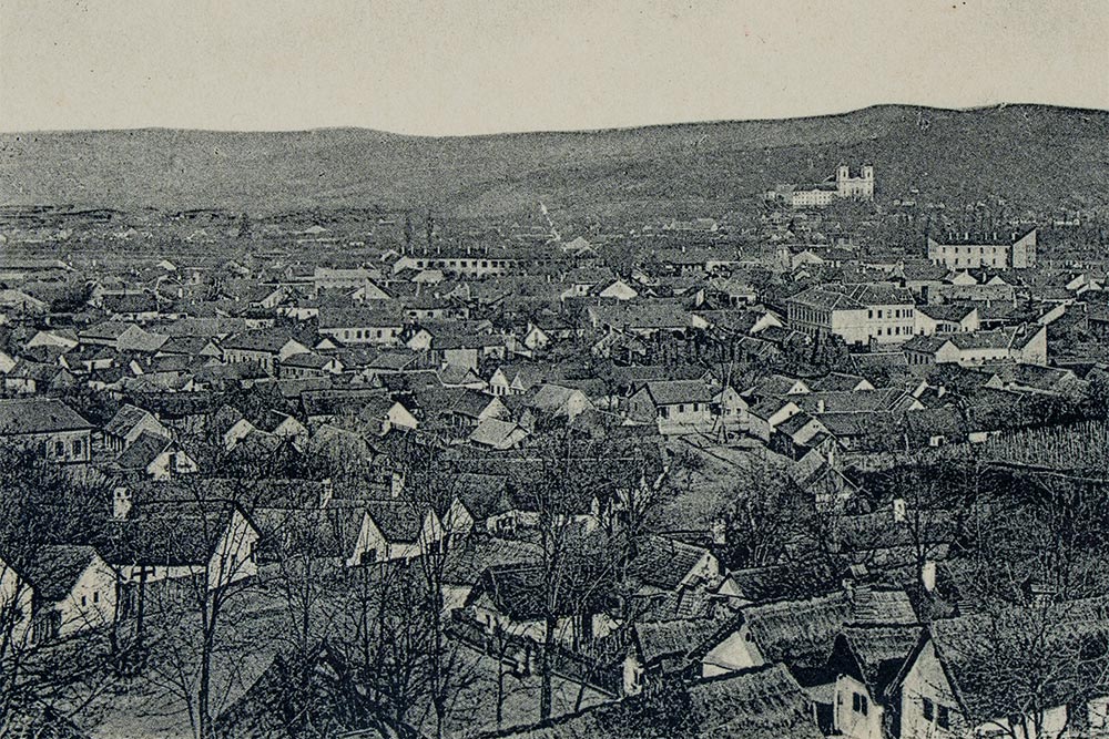 Липова и Радна панорама